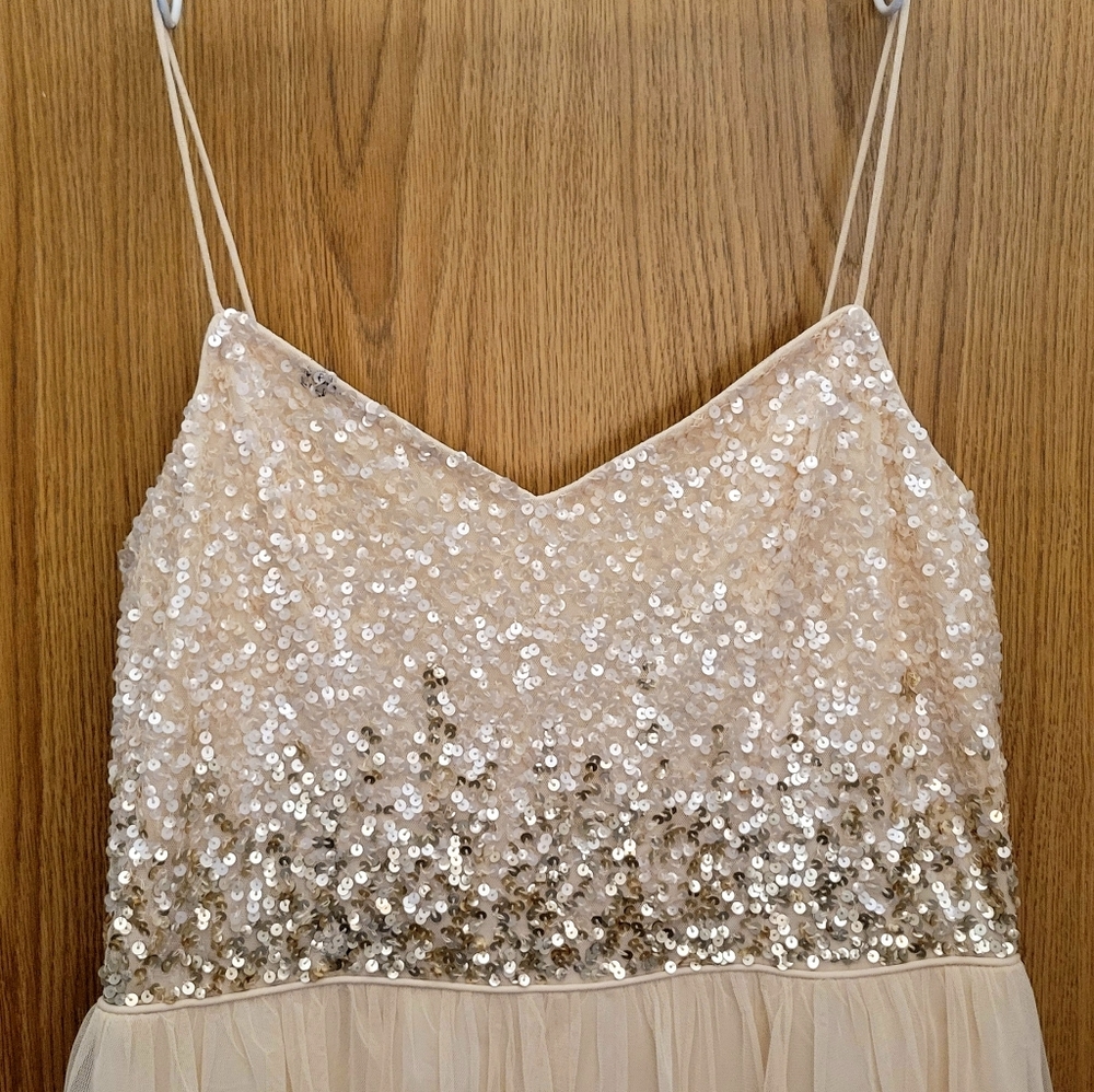 Formal gown size 12 Adrianna Papell